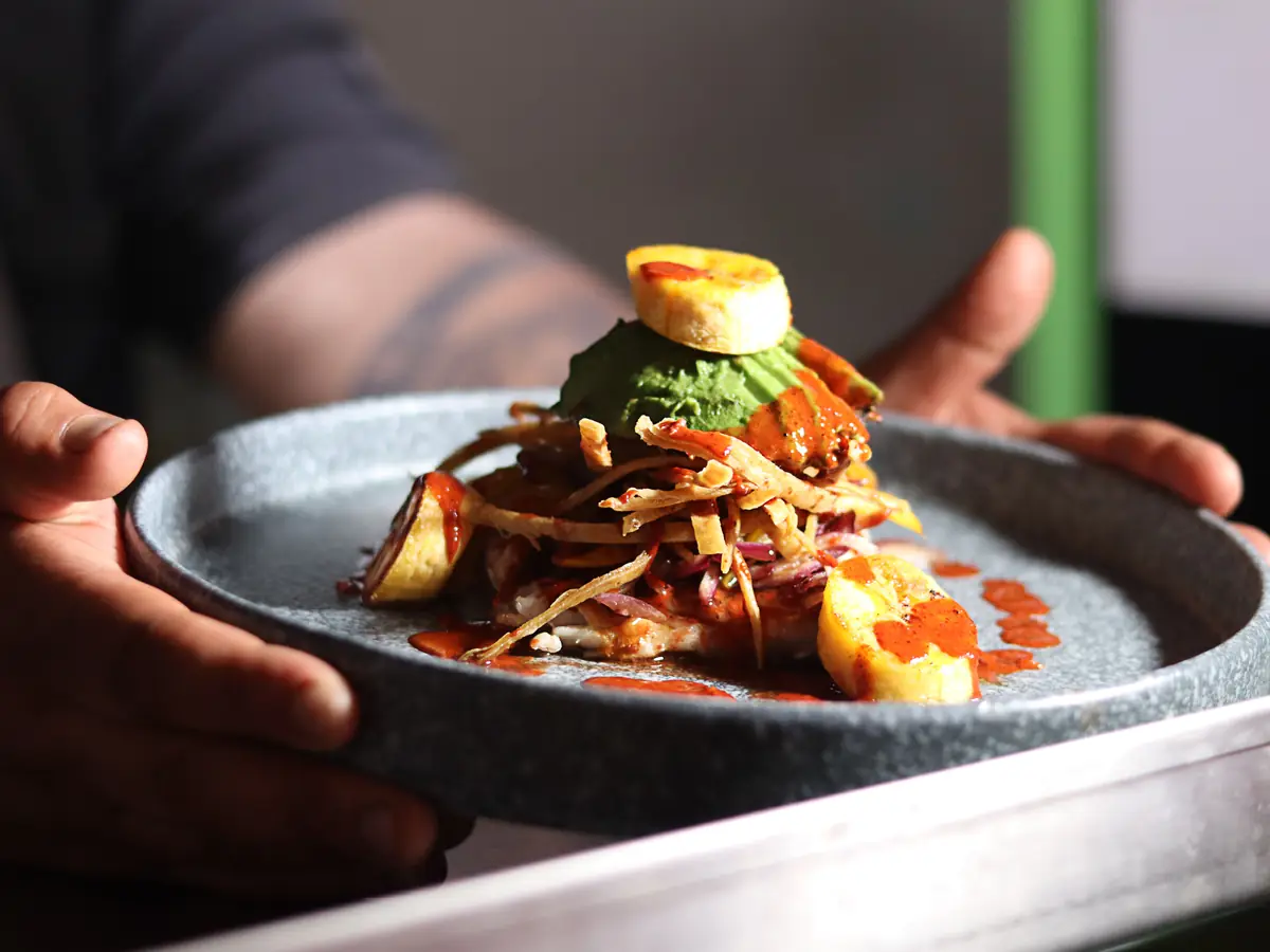 A cook’s hands hold a plated dish over a steel counter in a restaurant kitchen.